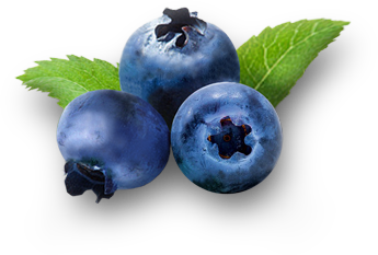 Blueberry