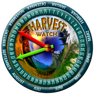 harvest-new03-APPLE