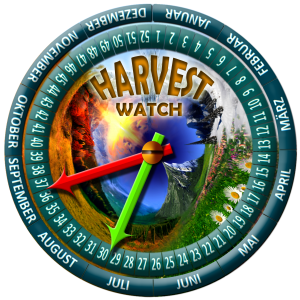 harvest-new03-BLUEBERRY