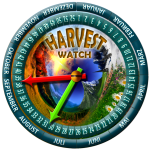 harvest-new03-PLUM