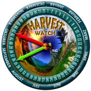 harvest-new03-ROSEHIP